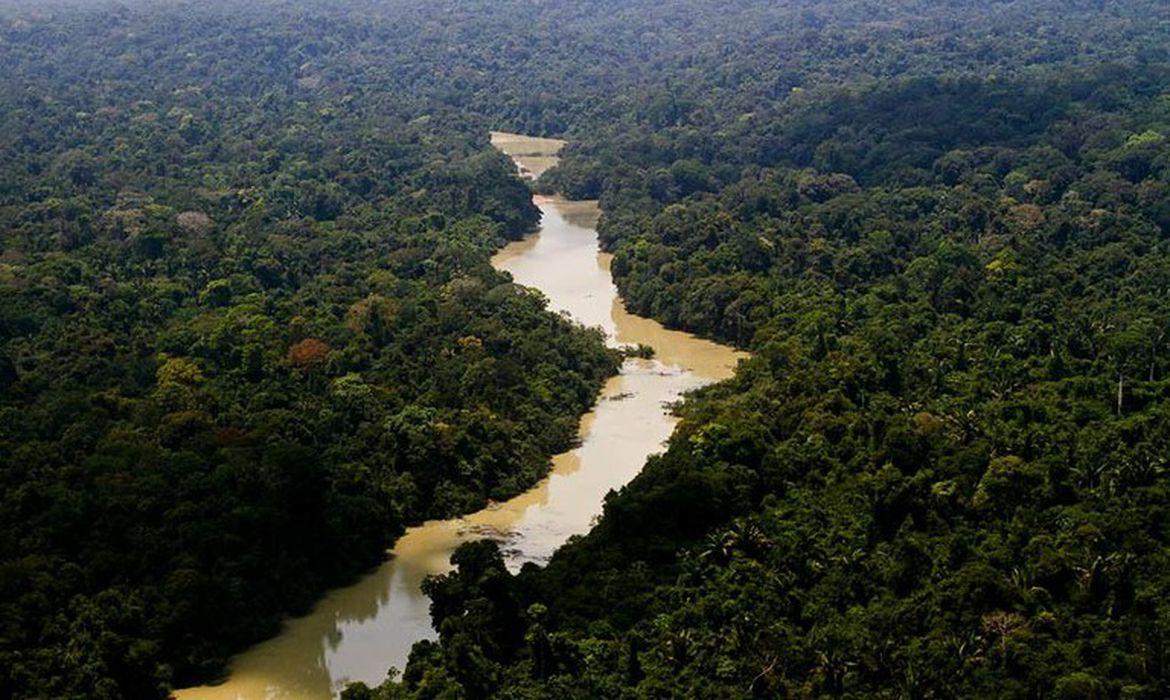 Desmatamento na Amazônia tem queda de 21,8% e no Pantanal, de 9,2%