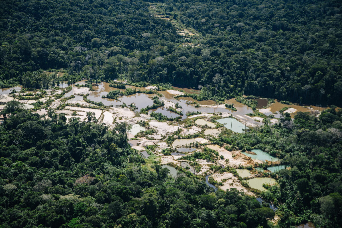 Greenpeace: Garimpo desmatou quatro campos de futebol por dia em terras indígenas em 2023