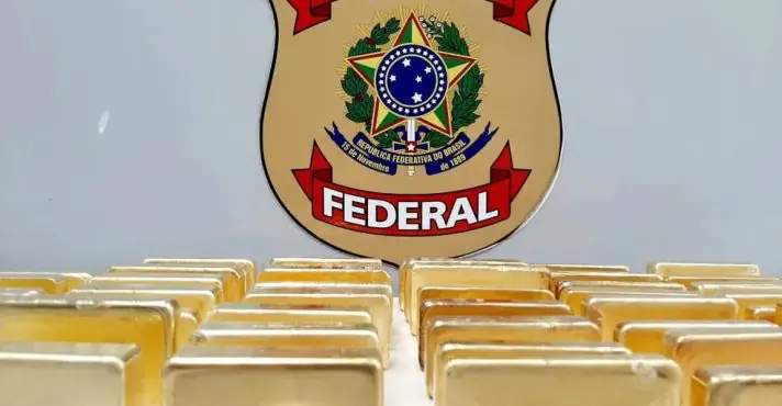 MPF obtém condenação de duas pessoas por tentativa de roubo de 47 kg de ouro de garimpo ilegal