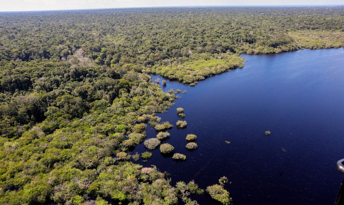 Amazônia