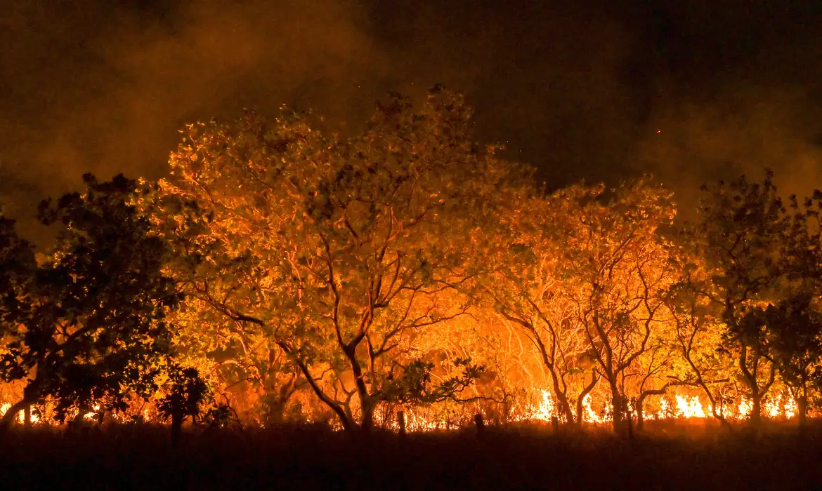 Amazônia