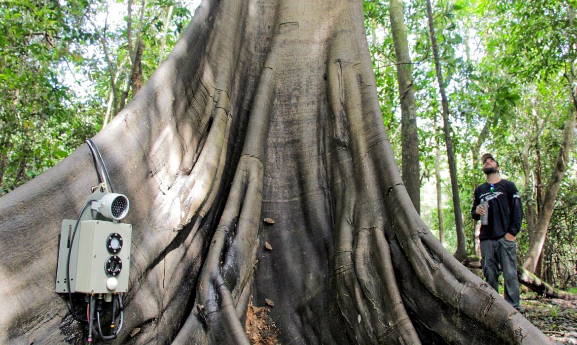 Amazônia