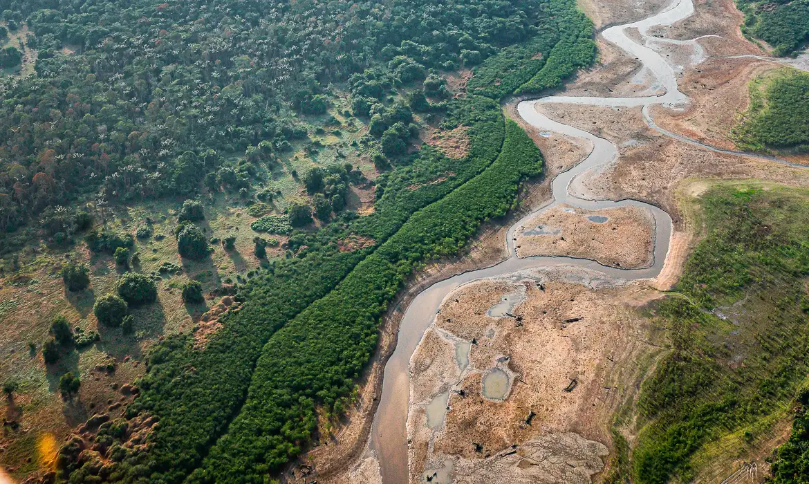 Amazônia