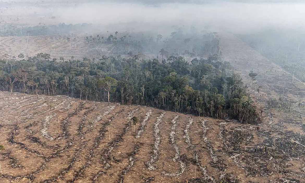 Amazônia