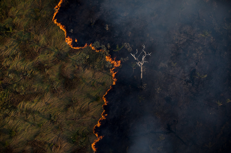 Amazônia