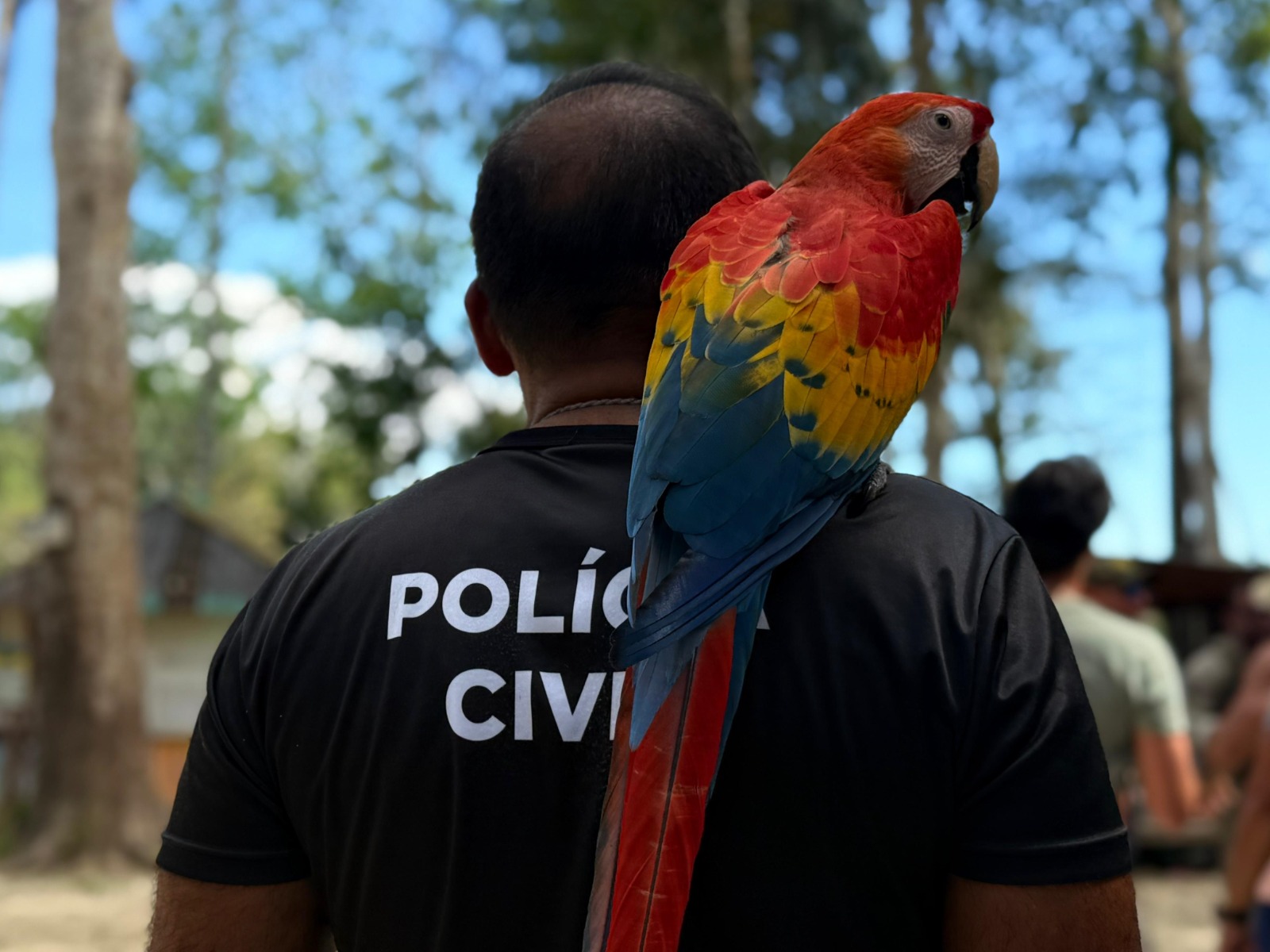 Polícia