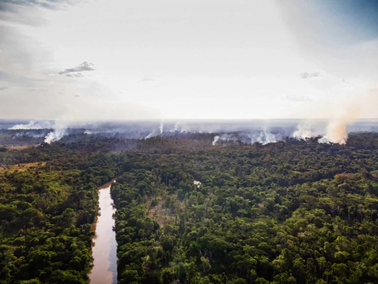 Amazônia