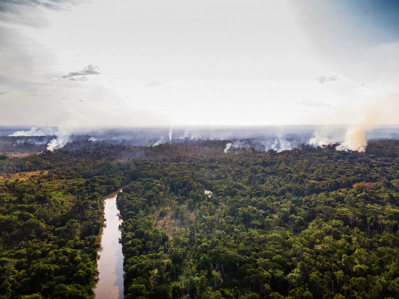 Pesquisa mede impacto de mudanças do clima e desmatamento na Amazônia