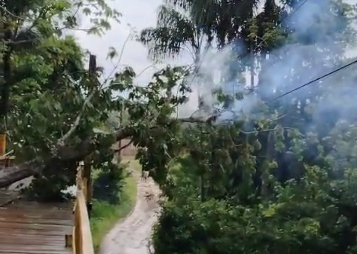 Forte chuva derruba árvore e provoca incêndio em rede elétrica em Itacoatiara