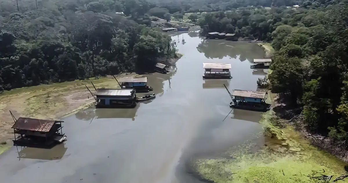 Componentes da dieta à base de peixe podem proteger ribeirinhos amazônicos do mercúrio