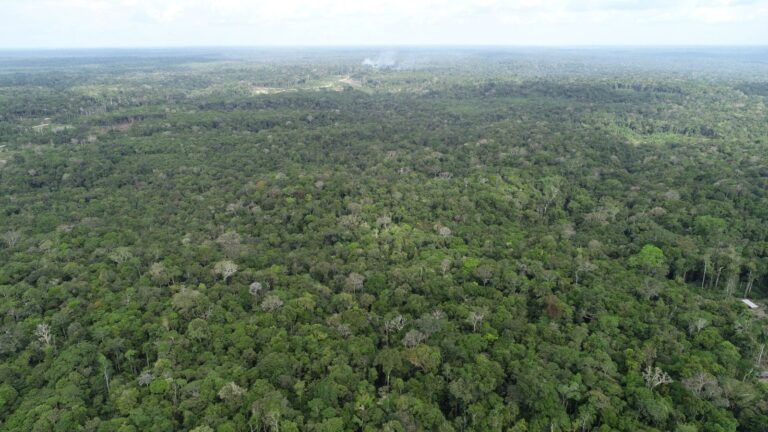Amazonas