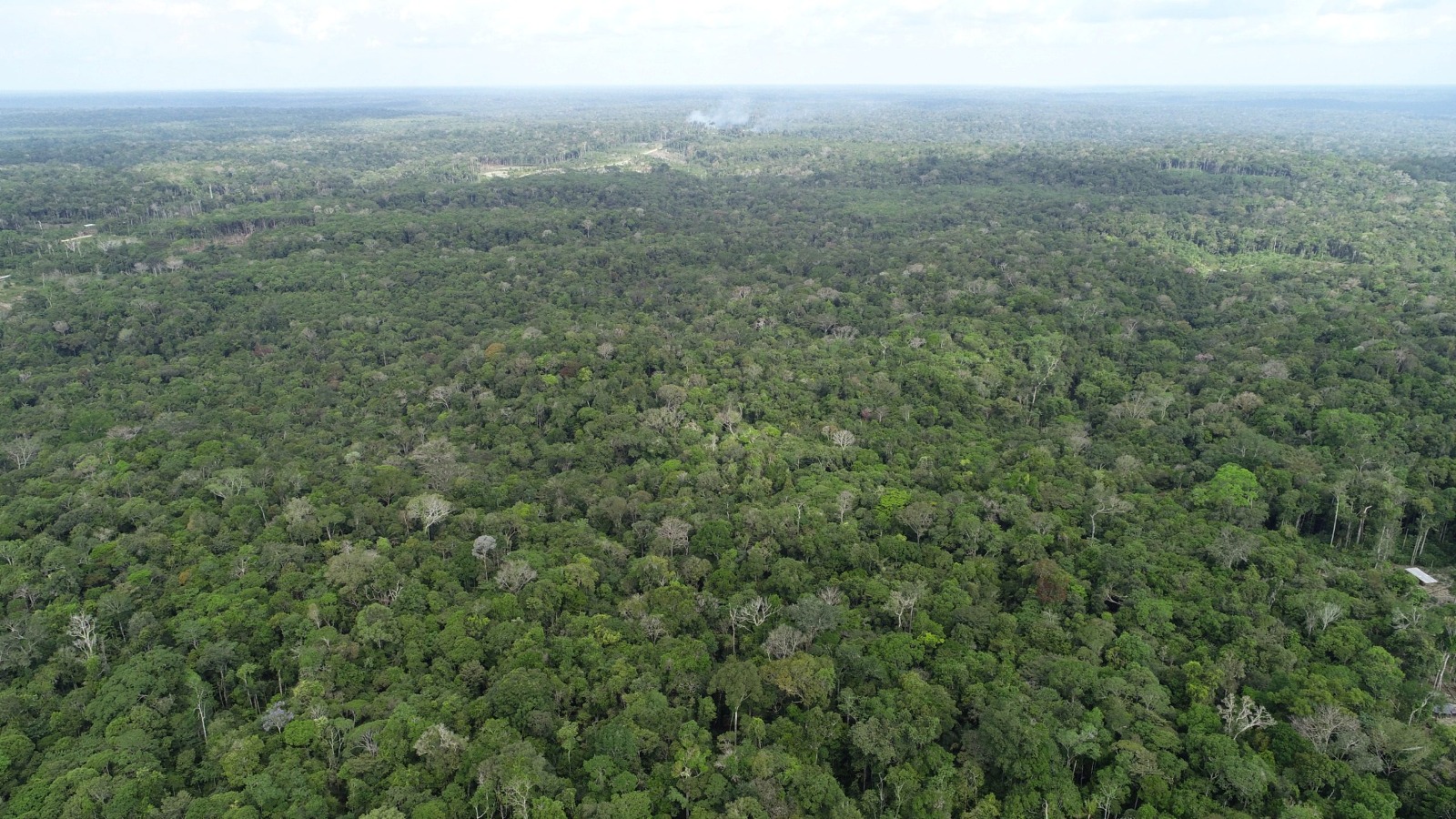 Governo do Amazonas registra em novembro o menor número de focos de calor desde 2021