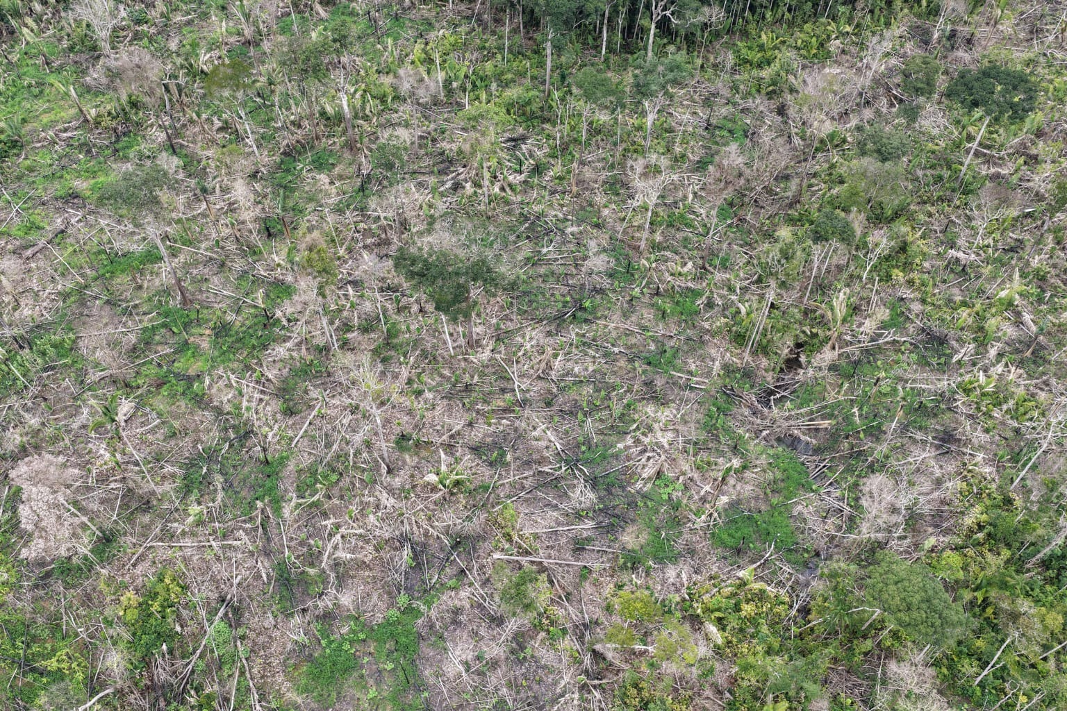 Ipaam autua três pessoas e aplica mais de R$ 1,7 milhão em multas em Humaitá