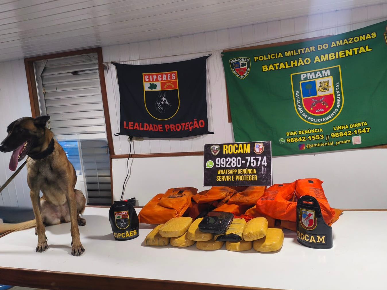 Base Tiradentes: Cão policial encontra 12 kg de entorpecentes escondidos dentro de colete salva vidas