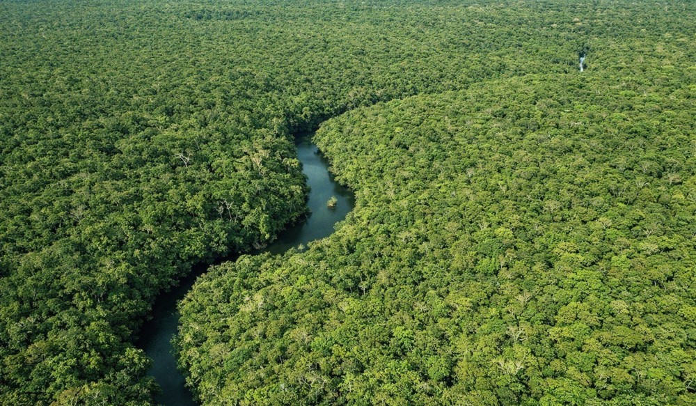 Amazonas reduz 30% área desmatada no 1º trimestre de 2026, aponta Inpe