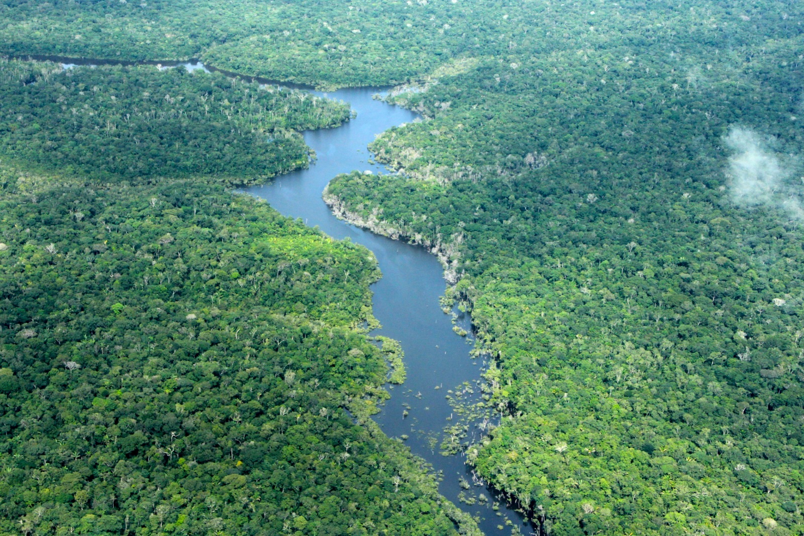Área desmatada no Amazonas cai 57% nos cinco primeiros meses de 2026, apontam dados do Inpe
