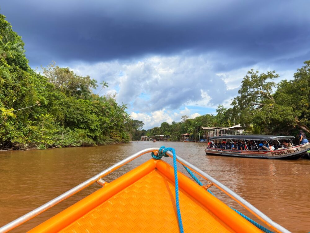 Mapeamento inédito aponta avanço da bioeconomia na Amazônia e destaca desafios para ampliar impacto