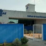 Sebrae