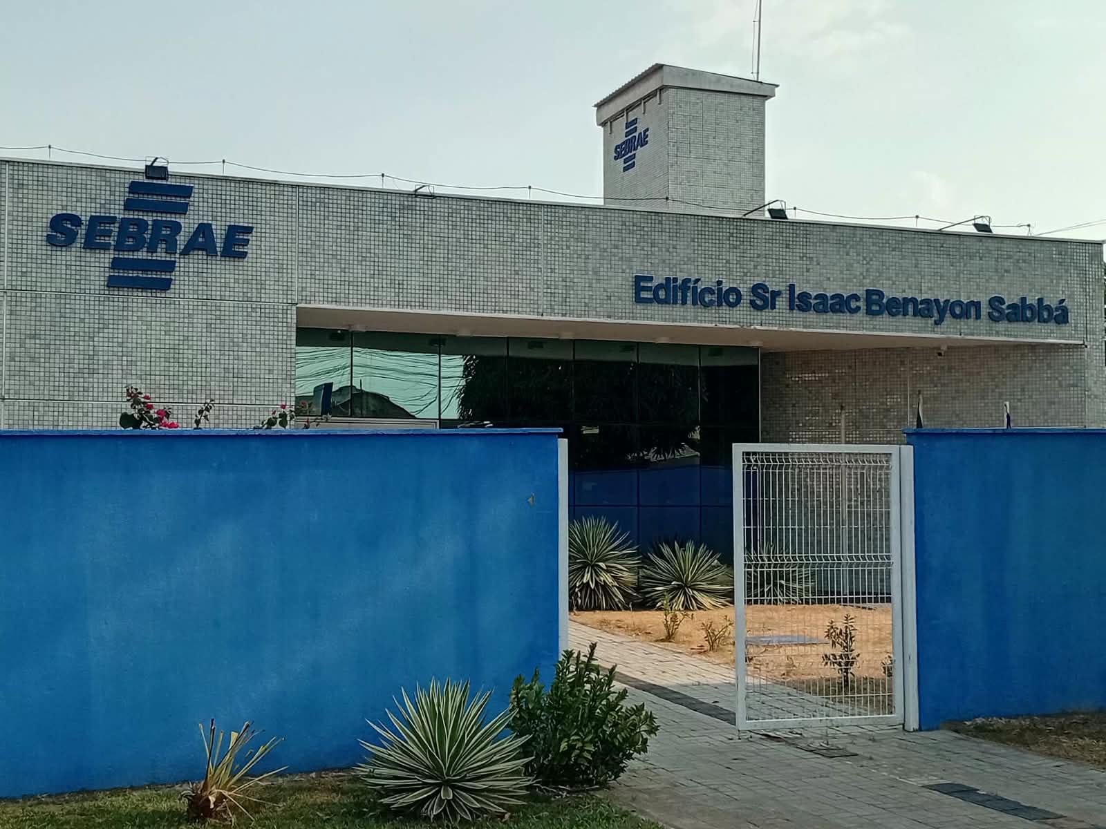 Sebrae
