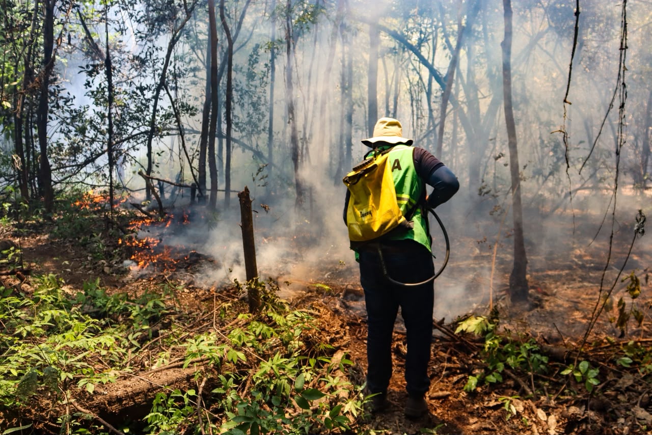 Prefeitura realiza força-tarefa para combater incêndios florestais na região do Rio Arari