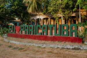 Paricatuba