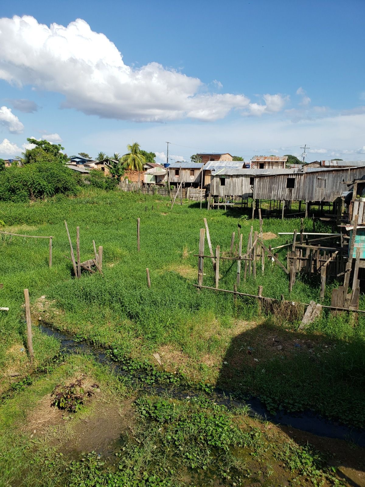 Programa de R$ 17,5 milhões para organizações periféricas do Amazonas prorroga inscrições até dia 20 de setembro